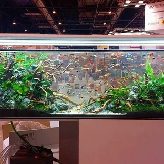 The Smart Solution for Crystal-Clear Ponds