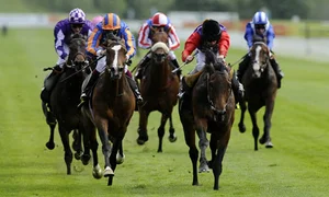 Beginner’s Guide to Horse Racing Betting Sites in the UK: What You Need to Know