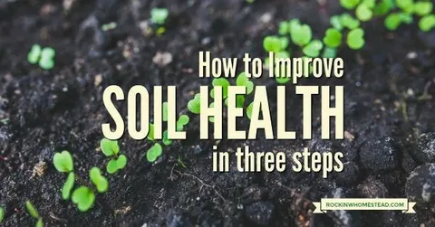How to Integrate Organic Matter into Your Soil for Healthier Lawns and Gardens